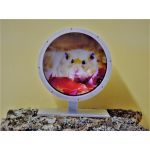 Kolotoč hliníkový 30 cm, na dno, dekor. ochrana