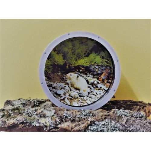 Kolotoč hliníkový 30 cm, na stěnu, dekor. ochrana