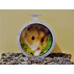 Kolotoč hliníkový 30 cm, na strop, dekor. ochrana