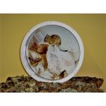 Kolotoč hliníkový 36 cm, na stěnu, dekor. ochrana