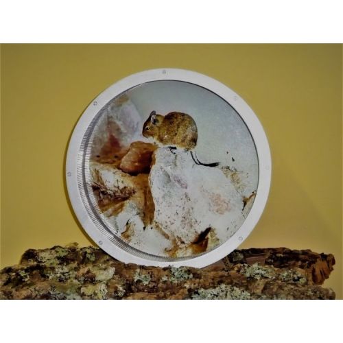 Kolotoč hliníkový 36 cm, na stěnu, dekor. ochrana