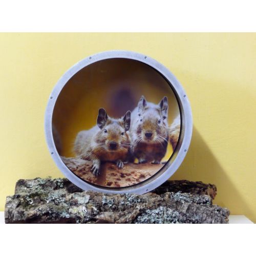 Kolotoč hliníkový 40 cm, na stěnu, dekor. ochrana